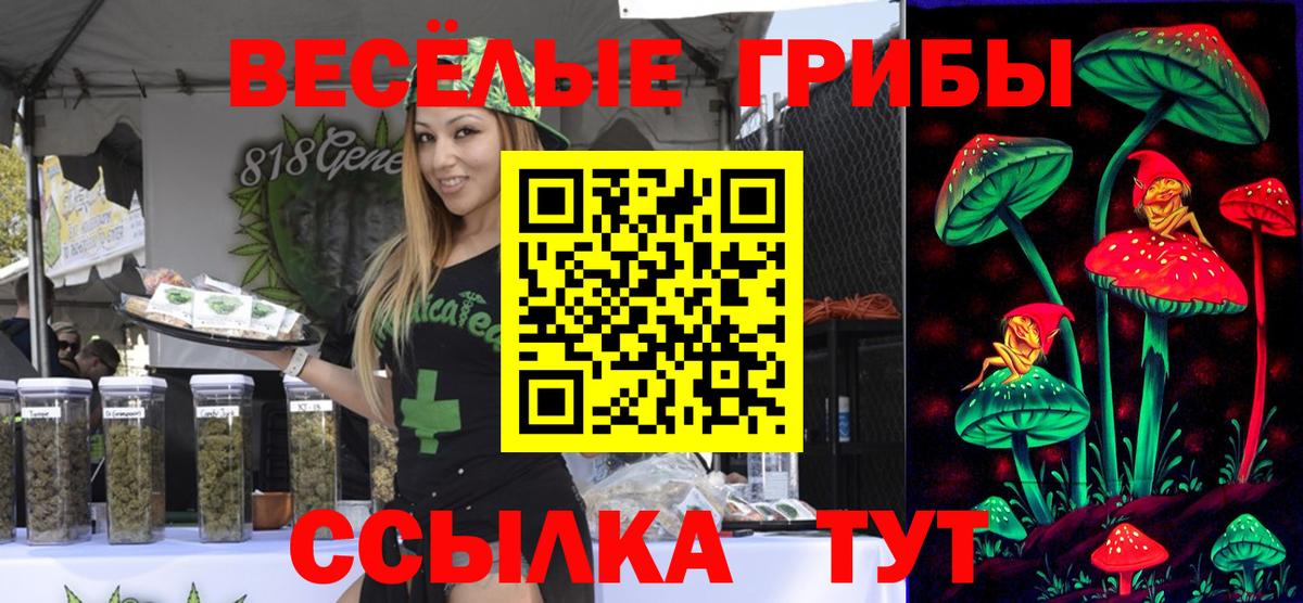 Георгиевск  Псилоцибиновые грибы Psilocybe  где продают наркотики  Вход с VPN 