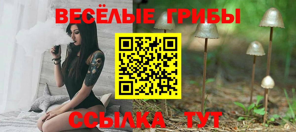 Галлюциногенные грибы Magic Shrooms Георгиевск